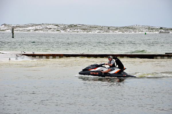 a dog on a jet ski